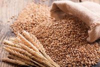 High quality wheat grain in bulk, bulk wheat