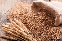 Wheat Grain in Bulk / Hight Quality Wheat, Whole Nutrition Grain for Export