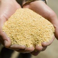  Soybean Meal Feed 48%