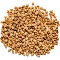 Top Quality Buckwheat Husk