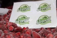 Frozen Fruits & Vegetables