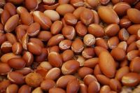 Macadamia nuts, Brazil Nuts, Hazelnuts, Pecan Nuts, Pine Nuts, Punpkin Kernel,   