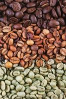 Arabica Coffee Beans, Robusta Coffee Beans, Cocoa Beans, Vanilla Beans, Butter Beans