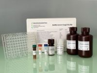 SARS-CoV-2 S IgG ELISA test kit (COVID-19 antibody) CE-IVD