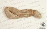 SCUTCHED FLAX FROM LONG FIBER