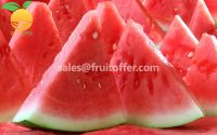 Frozen Water Melon