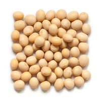 Organic Soya Beans Wholesale  Organic large quantity