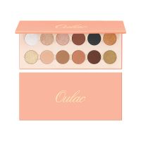 12 Shades Eyeshadow Palette With Matte Pearly Lustre Color