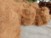 Coconut Fiber