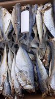 Dried Indian Mackerel