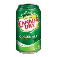 Canada Dry Ginger Ale 355