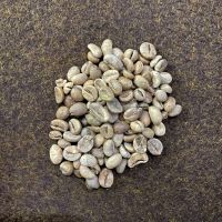 Java Robusta Green Coffee Beans : G2