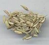 Fennel Seeds