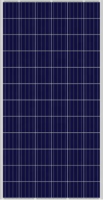 330W Poly Solar Panels
