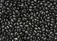 Black kidney beans