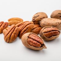 Pecan Nuts / Betel  Nuts / Cashew Nuts / Almond Nuts