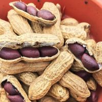 Almond Nuts / Peanut