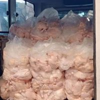best wholesale price for  quality Frozen chicken
