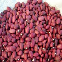 High quality white and black kidney beans