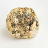 Whales Vomit.Ambergris for sale