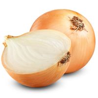 fresh vegetable onions