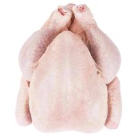 Halal Frozen Whole Chicken -Grade-A Turkey