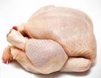 EXPORT GRADE HALAL FROZEN WHOLE CHICKEN CHICKEN FEET CHICKEN PAW