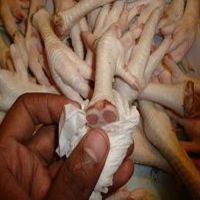 Frozen chicken paw feet wholesale top grade chicken paws