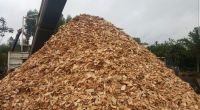 Wood Chips High Q...