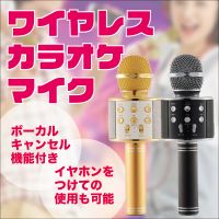 RS-S909,  Wireless karaoke microphone