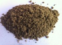 Fish Meal (Animal Feed )