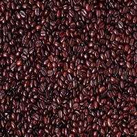 Roasted Arabica and Robusta Coffee Beans for sale