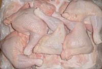 Halal frozen chicken (Whole chicen, feet, paws, breast, leg quarter, MJW, etc)