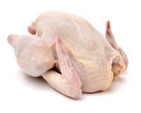 Wholesale Halal Frozen Whole Chicken with and Without Giblets