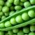 High quality frozen green peas
