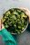 Dehydrated Broccoli florets