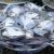 Fresh White Pomfret/Silver