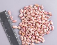 Wholesale Sugar Beans Organic Red Light Speckled Kidney Beans