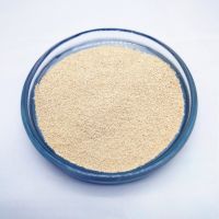 Factory supply instant dry yeast