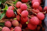 Lychee