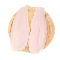 Fillet frozen Pangasius