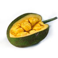 Fresh To Nu Jackfruit Organic Sweet with High Quality From Vietnam (HuuNghi Fruit)