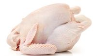 EXPORT GRADE HALAL FROZEN WHOLE CHICKEN CHICKEN FEET CHICKEN PAW