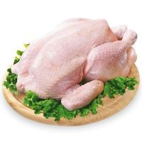 FROZEN CHICKEN MJW USD 1500/MT CIF China