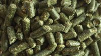 HAY PELLETS / ANIMAL FEED- ALFALFA PELLETS