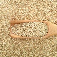 White Quinoa Bulk Supply For Food