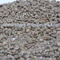 Best specialty arabica menagold grean beans origin from North Sumatera, INDONESIA.