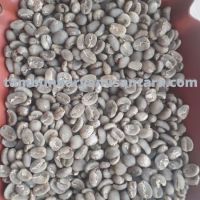 Arabica gayo Aceh green beans Grade 1 (Best Seller)