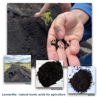 Raw Leonardite - Ukrainian source of Humic acids