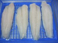 Pangasius fillet